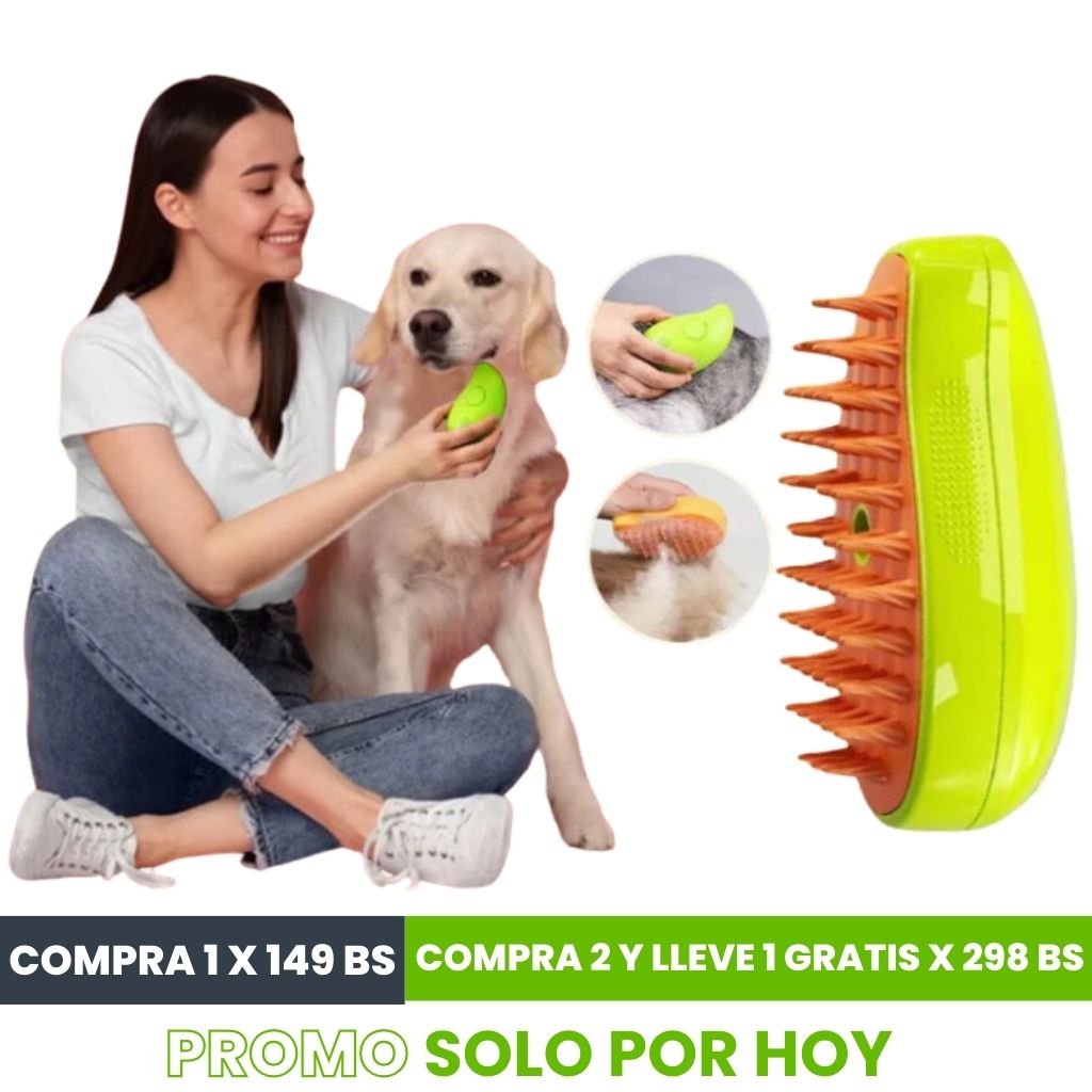Cepillo a vapor recargable | ENVÍO GRATIS ⭐