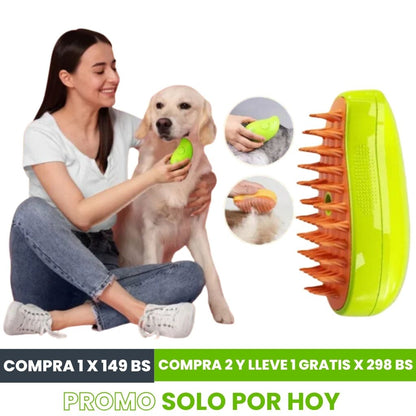 Cepillo a vapor recargable | ENVÍO GRATIS ⭐